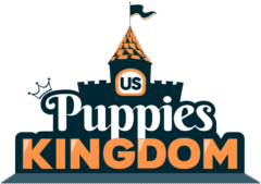 Us Puppies Kingdom